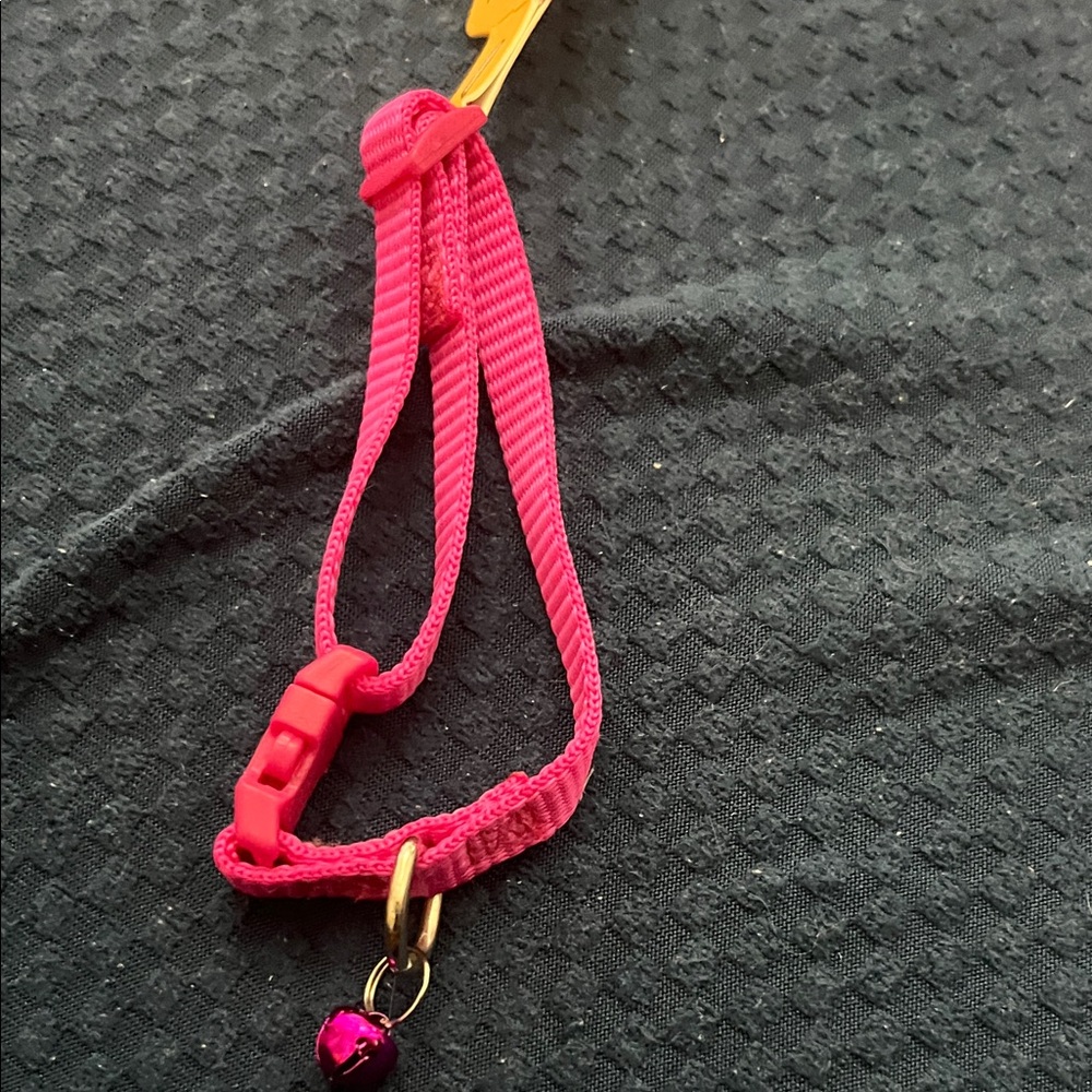 Vibrant Pink Cat Collar with Bell